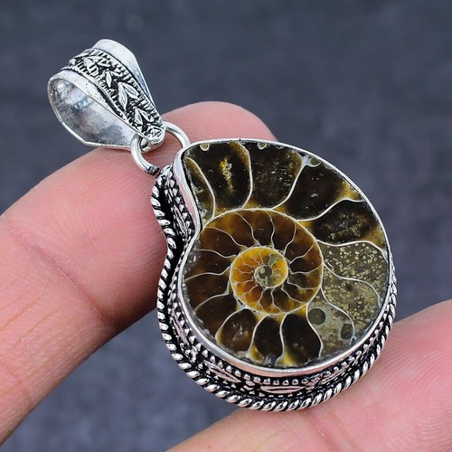 Natural ammonite fossil - ammonite,