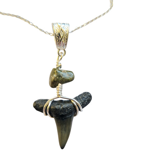 Gorgeous fossil lemon shark - gorgeous,