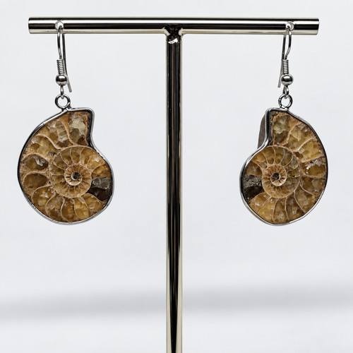Ammonite earrings fossil - earrings,,