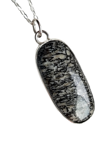 Dinosaur bone necklace - bone,