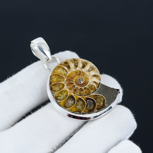 Natural ammonite fossil - ammonite,