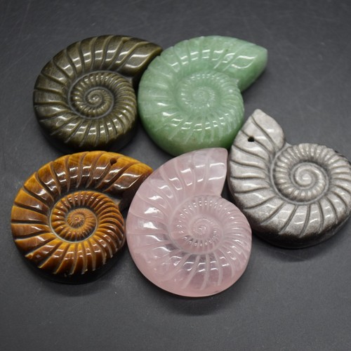 Ammonite fossil carved - ammonite,,