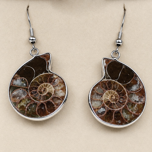 Ammonite fossil earrings - ammonite,