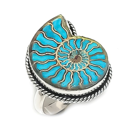 Natural ammonite fossil - natural,
