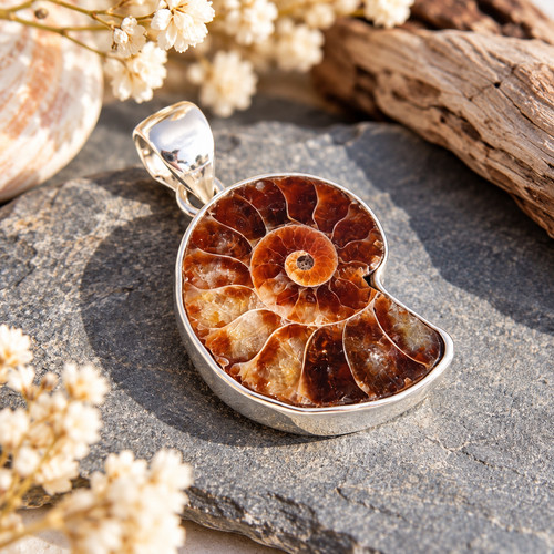 Sterling silver ammonite - silver,