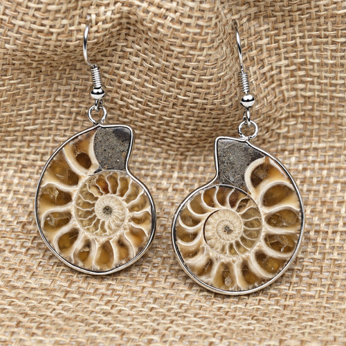 Ammonite fossil earrings - ammonite,
