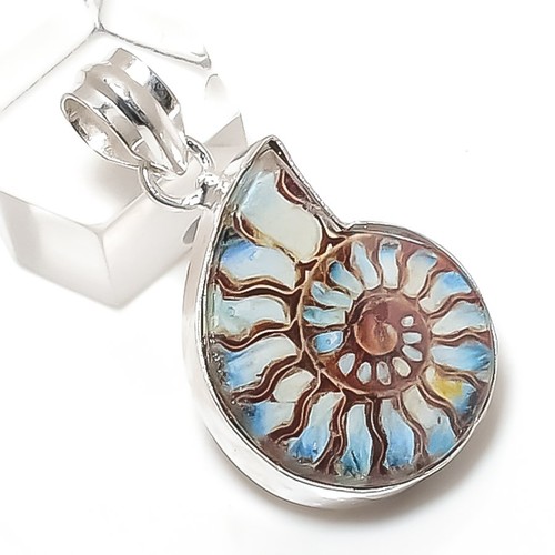 Natural ammonite fossil - ammonite,