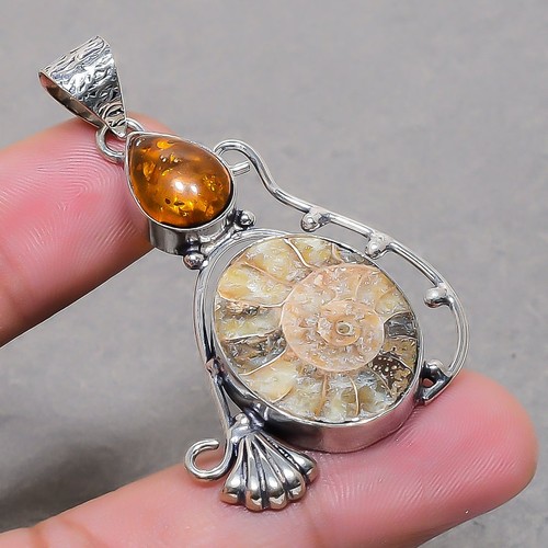 Ammonite fossil baltic amber - baltic,