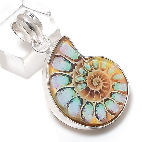 Natural ammonite fossil - natural,