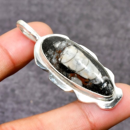 Orthoceras fossil gemstone 925 - orthoceras,