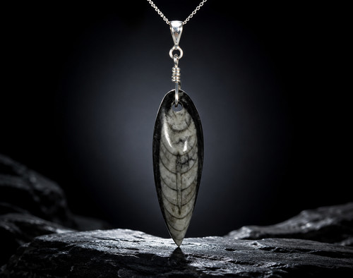 Beautiful fossil orthoceras - beautiful,