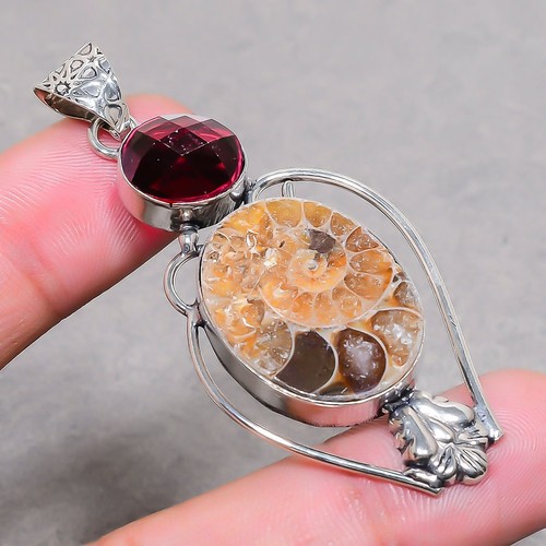 Ammonite fossil pink - ammonite,
