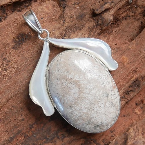 Fossilized coral mother of - &,