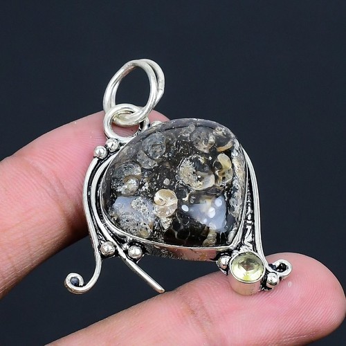 Turritella fossil citrine - fossil,,