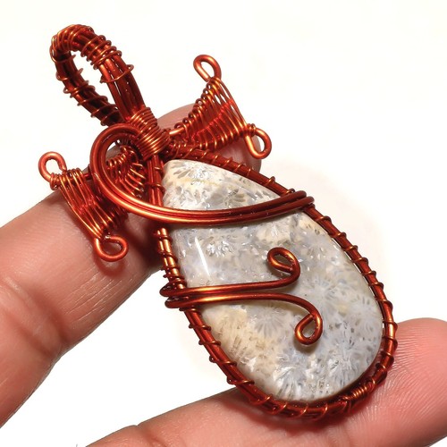 Natural fossil coral - fossil, wire