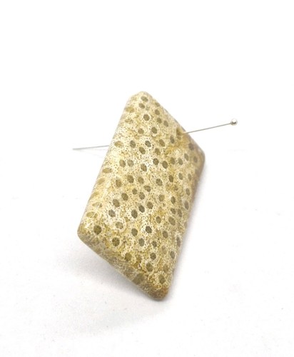 110 cts fossil - 110, rectangle