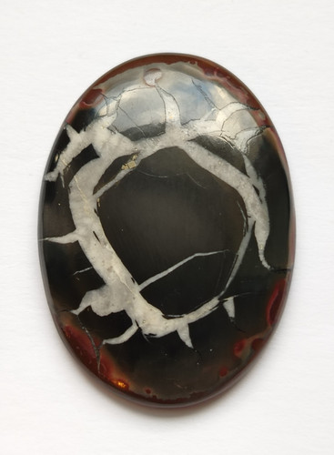Large black septarian fossil - black,