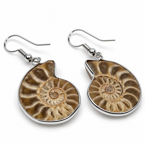 Ammonite earrings jewellery - earrings,,