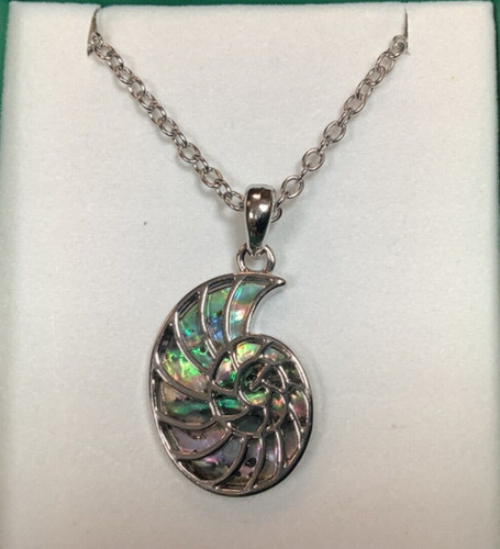 Ammonite fossil inlaid paua - ammonite,