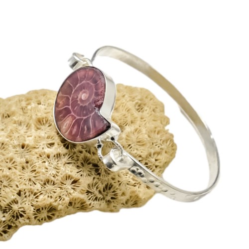 Ammonite fossil gemstone - fossil,