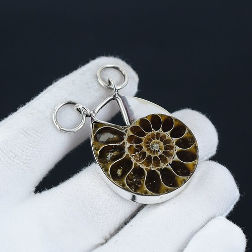 Ammonite fossil gemstone - ammonite,