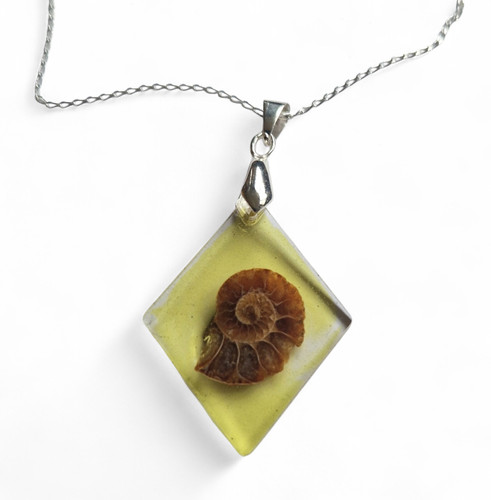 Fossil ammonite slice pendant - ammonite,