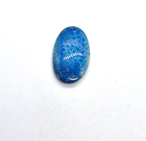 110 cts blue fossil - blue, jasper