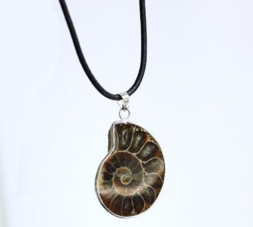 Ammonite fossil stone pendant - fossil,