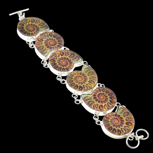 Ammonite fossil gemstone - ammonite,