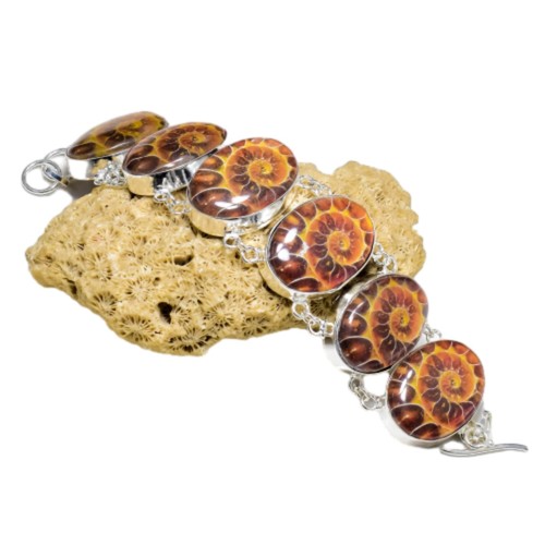 Ammonite fossil 925 - ammonite, sterling