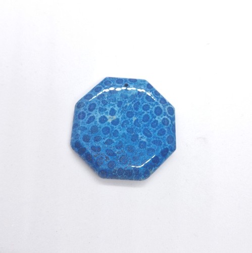 130 cts blue fossil - fossil, jasper