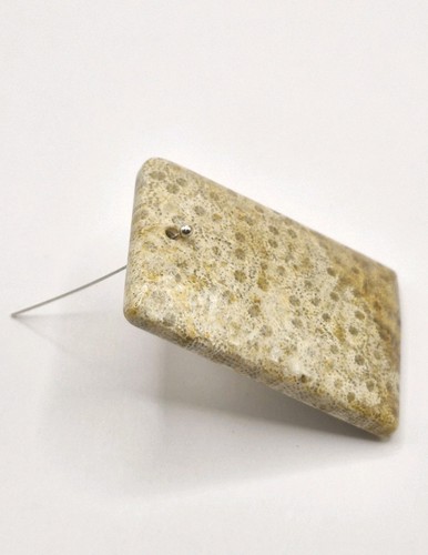 110 cts sea fossil rectangle - 110,